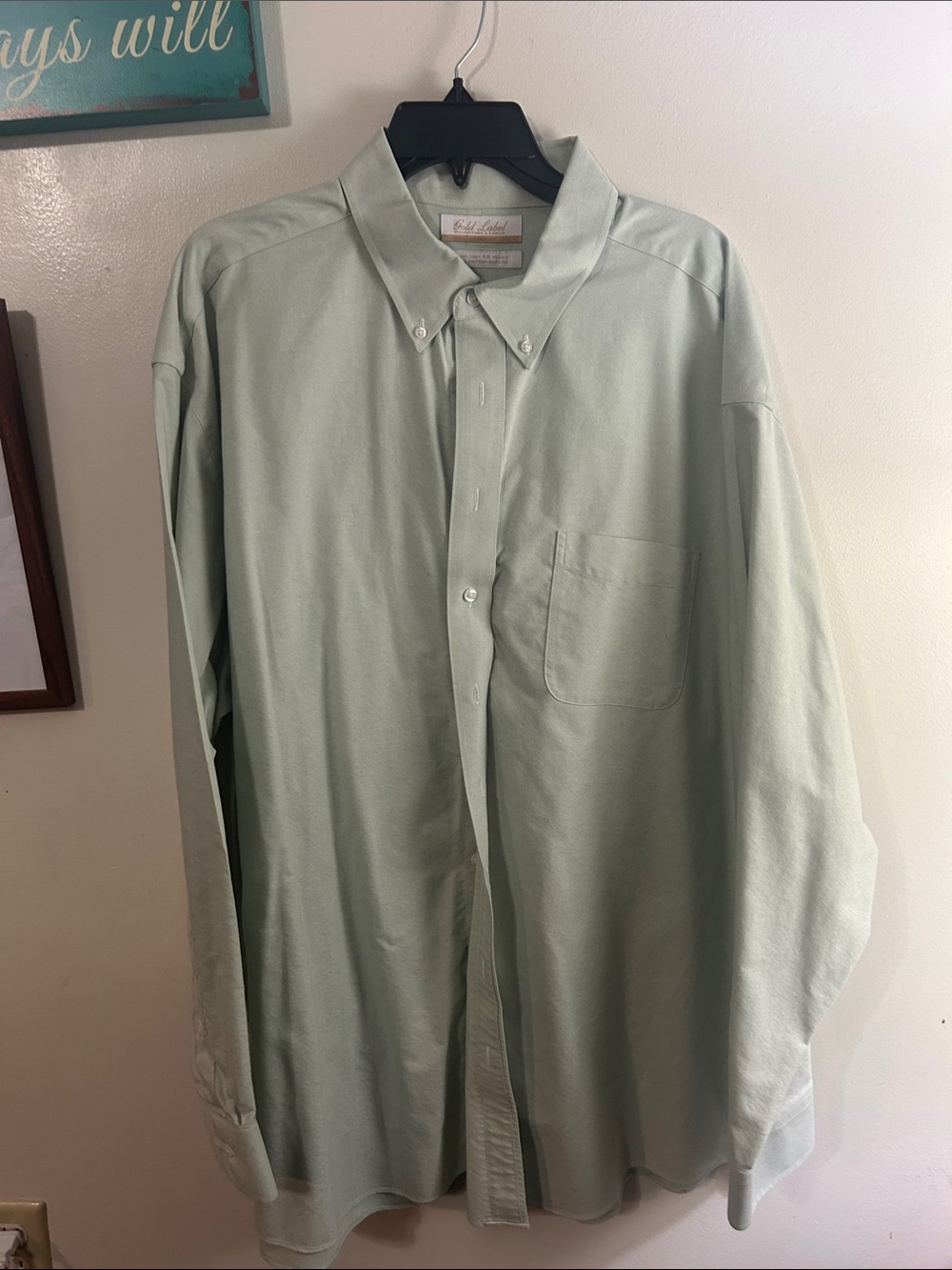 Men's Casual Button-Down Shirt in Pale Mint Green